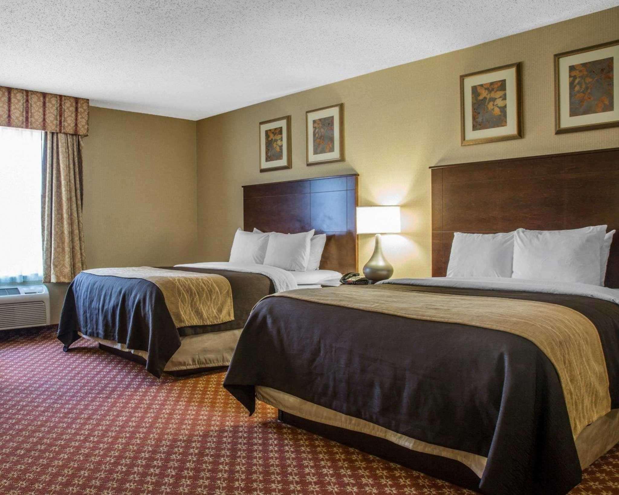 Comfort Inn Naugatuck-Shelton, Ct Екстер'єр фото