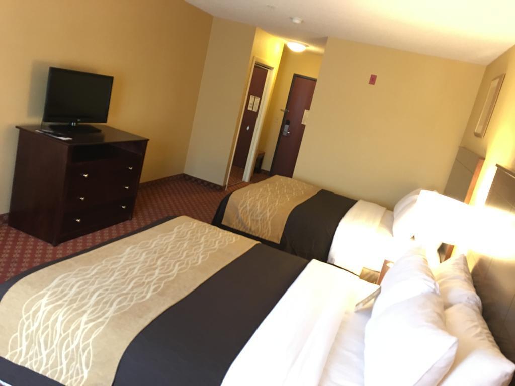 Comfort Inn Naugatuck-Shelton, Ct Екстер'єр фото