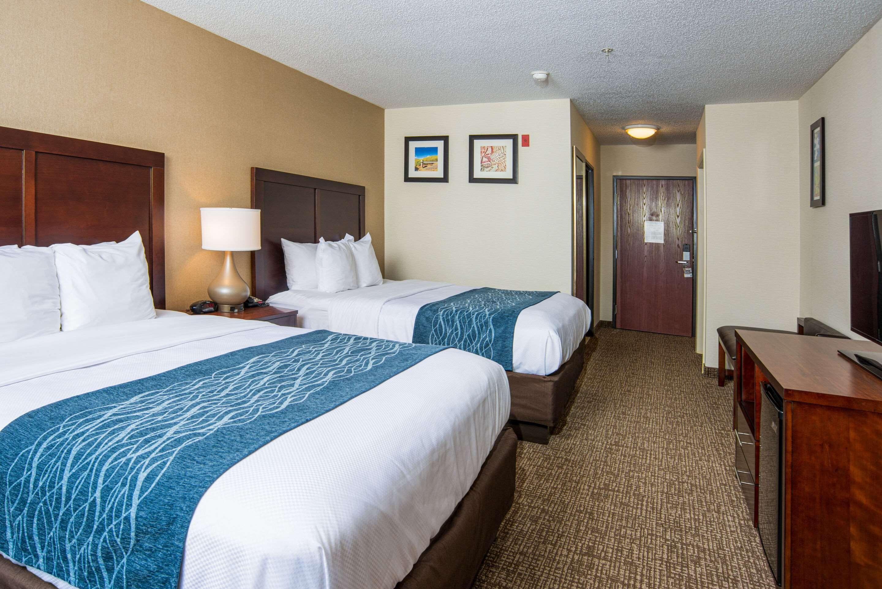 Comfort Inn Naugatuck-Shelton, Ct Екстер'єр фото