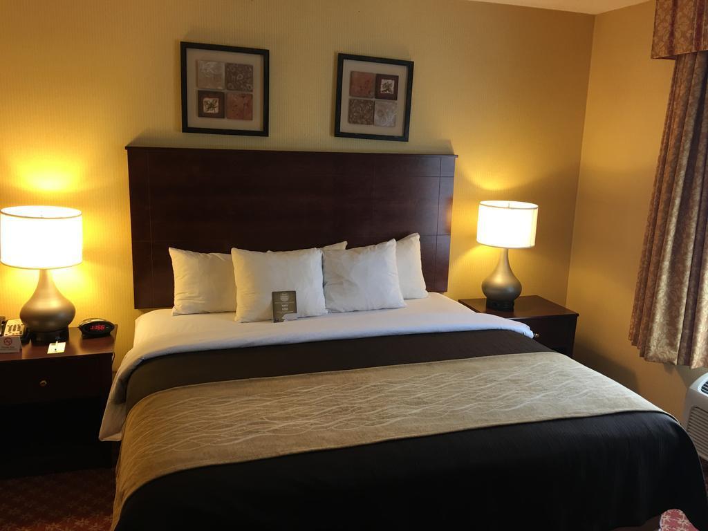 Comfort Inn Naugatuck-Shelton, Ct Екстер'єр фото